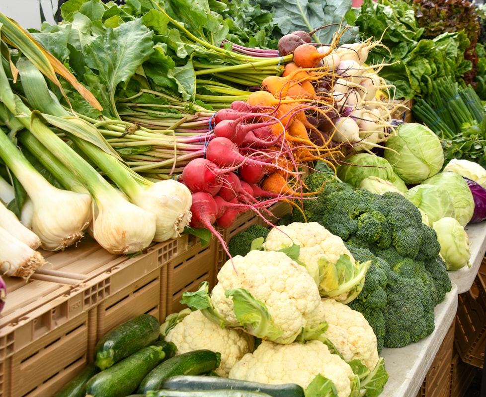 Wellness routine and natural living